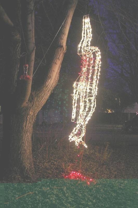 Christmas Lights Dear Gutted on Front Lawn