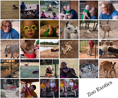 Zoo Exotic Resort